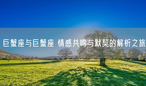 巨蟹座与巨蟹座 情感共鸣与默契的解析之旅(图1)