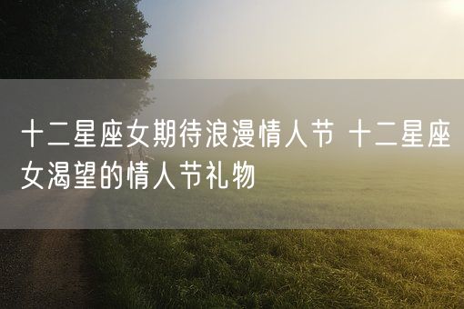 十二星座女期待浪漫情人节 十二星座女渴望的情人节礼物(图1) 十二星座女期待浪漫情人节 十二星座女渴望的情人节礼物(图1)