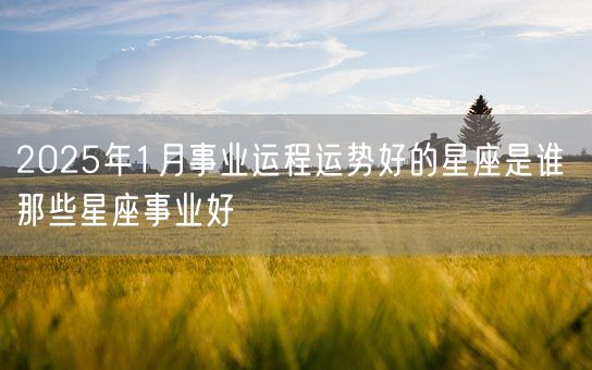 2025年1月事业运程运势好的星座是谁 那些星座事业好(图1) 2025年1月事业运程运势好的星座是谁 那些星座事业好(图1)