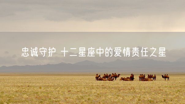 忠诚守护 十二星座中的爱情责任之星(图1)