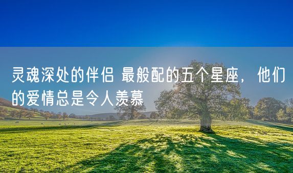 灵魂深处的伴侣 最般配的五个星座，他们的爱情总是令人羡慕(图1)