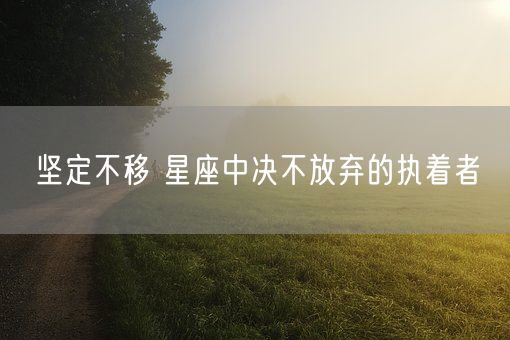 坚定不移 星座中决不放弃的执着者(图1)