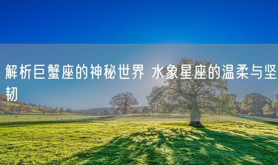 解析巨蟹座的神秘世界 水象星座的温柔与坚韧(图1)