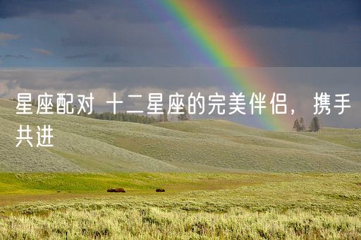 星座配对 十二星座的完美伴侣，携手共进(图1)
