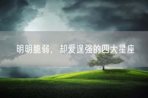 明明脆弱,却爱逞强的四大星座(图1) 明明脆弱,却爱逞强的四大星座(图1)