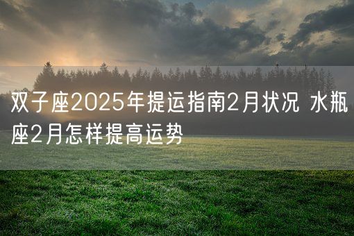双子座2025年提运指南2月状况 水瓶座2月怎样提高运势(图1)