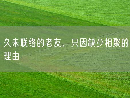 久未联络的老友，只因缺少相聚的理由(图1)