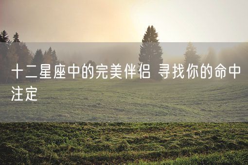 十二星座中的完美伴侣 寻找你的命中注定(图1)