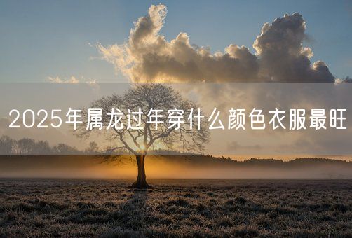 2025年属龙过年穿什么颜色衣服最旺(图1)