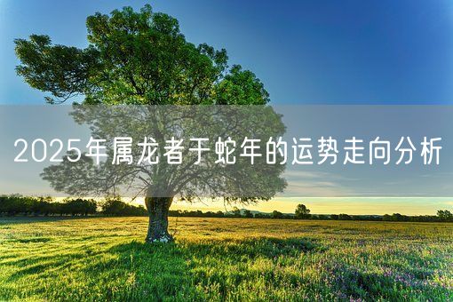 2025年属龙者于蛇年的运势走向分析(图1)
