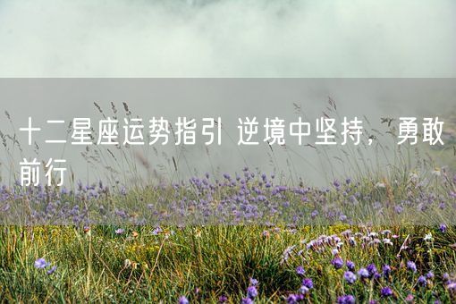十二星座运势指引 逆境中坚持，勇敢前行(图1)