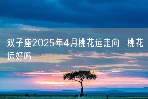 双子座2025年4月桃花运走向 桃花运好吗(图1) 双子座2025年4月桃花运走向 桃花运好吗(图1)
