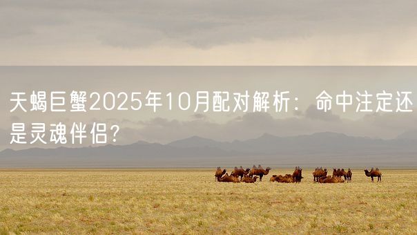 天蝎巨蟹2025年10月配对解析:命中注定还是灵魂伴侣?(图1) 天蝎巨蟹2025年10月配对解析:命中注定还是灵魂伴侣?(图1)