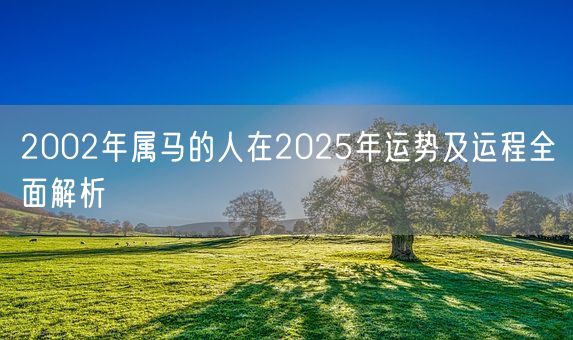 2002年属马的人在2025年运势及运程全面解析(图1)