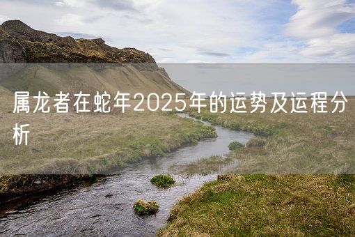 属龙者在蛇年2025年的运势及运程分析(图1)