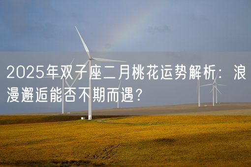 2025年双子座二月桃花运势解析:浪漫邂逅能否不期而遇?(图1) 2025年双子座二月桃花运势解析:浪漫邂逅能否不期而遇?(图1)
