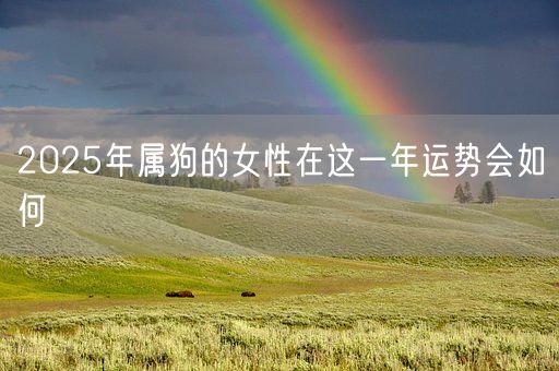 2025年属狗的女性在这一年运势会如何(图1)