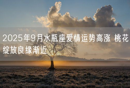 2025年9月水瓶座爱情运势高涨 桃花绽放良缘渐近(图1)