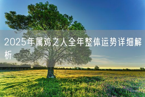 2025年属鸡之人全年整体运势详细解析(图1)