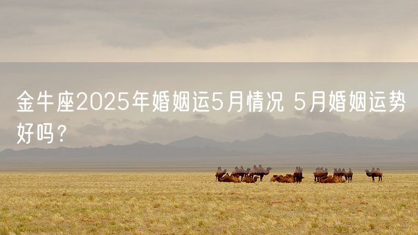 金牛座2025年婚姻运5月情况 5月婚姻运势好吗？(图1)