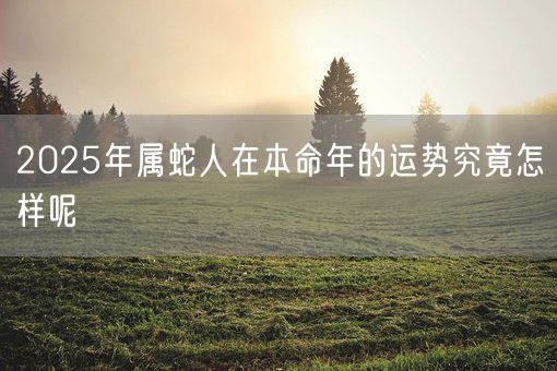 2025年属蛇人在本命年的运势究竟怎样呢(图1)