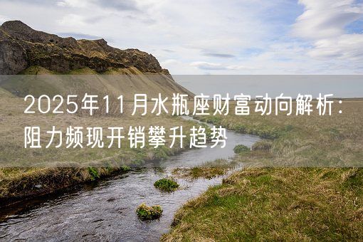 2025年11月水瓶座财富动向解析：阻力频现开销攀升趋势(图1)