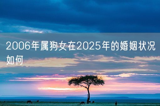 2006年属狗女在2025年的婚姻状况如何(图1)
