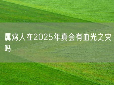 属鸡人在2025年真会有血光之灾吗(图1)