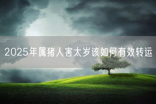 2025年属猪人害太岁该如何有效转运(图1)