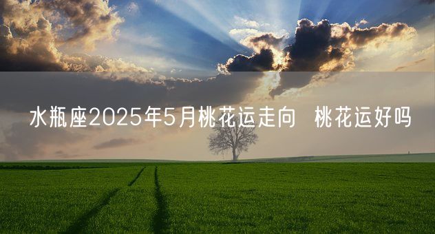 水瓶座2025年5月桃花运走向  桃花运好吗(图1)