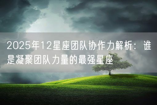 2025年12星座团队协作力解析：谁是凝聚团队力量的最强星座(图1)