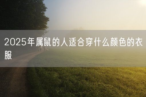 2025年属鼠的人适合穿什么颜色的衣服(图1)