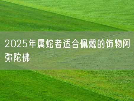 2025年属蛇者适合佩戴的饰物阿弥陀佛(图1)