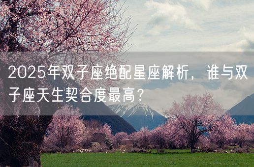 2025年双子座绝配星座解析,谁与双子座天生契合度最高?(图1) 2025年双子座绝配星座解析,谁与双子座天生契合度最高?(图1)