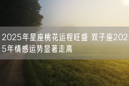 2025年星座桃花运程旺盛 双子座2025年情感运势显著走高(图1) 2025年星座桃花运程旺盛 双子座2025年情感运势显著走高(图1)