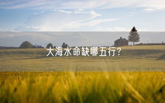 大海水命缺哪五行？(图1)