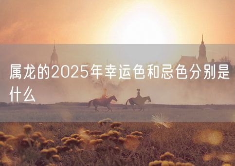 属龙的2025年幸运色和忌色分别是什么(图1)