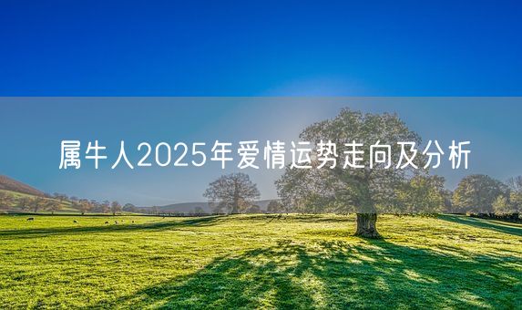 属牛人2025年爱情运势走向及分析(图1)