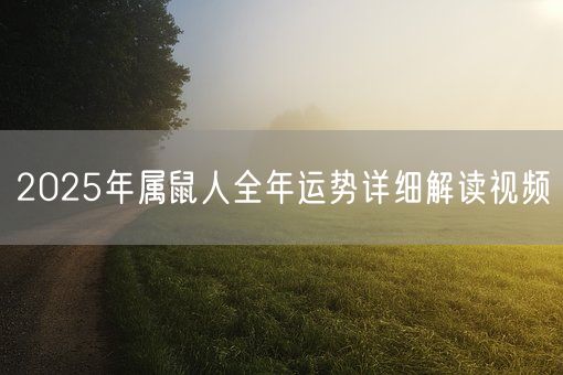 2025年属鼠人全年运势详细解读视频(图1)