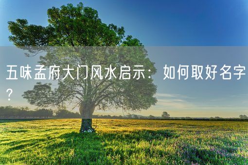 五味孟府大门风水启示：如何取好名字？(图1)
