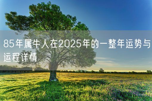 85年属牛人在2025年的一整年运势与运程详情(图1)