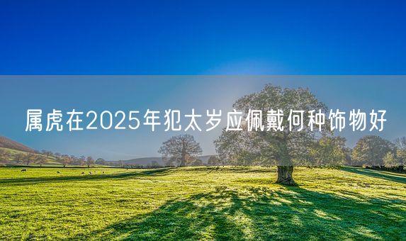 属虎在2025年犯太岁应佩戴何种饰物好(图1)