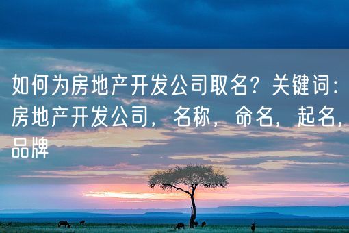 如何为房地产开发公司取名？关键词：房地产开发公司，名称，命名，起名，品牌(图1)