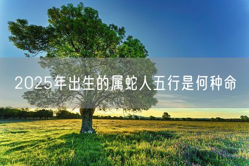 2025年出生的属蛇人五行是何种命(图1)