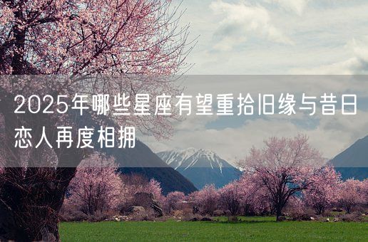 2025年哪些星座有望重拾旧缘与昔日恋人再度相拥(图1) 2025年哪些星座有望重拾旧缘与昔日恋人再度相拥(图1)