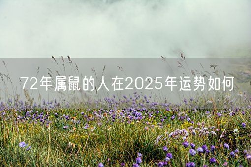 72年属鼠的人在2025年运势如何(图1)