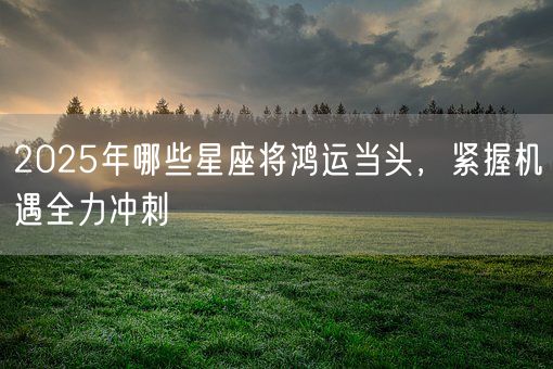 2025年哪些星座将鸿运当头,紧握机遇全力冲刺(图1) 2025年哪些星座将鸿运当头,紧握机遇全力冲刺(图1)