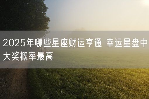 2025年哪些星座财运亨通 幸运星盘中大奖概率最高(图1)
