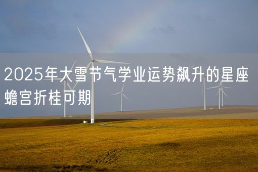 2025年大雪节气学业运势飙升的星座 蟾宫折桂可期(图1)
