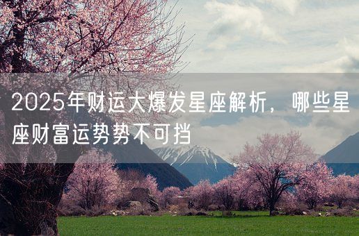 2025年财运大爆发星座解析，哪些星座财富运势势不可挡(图1)